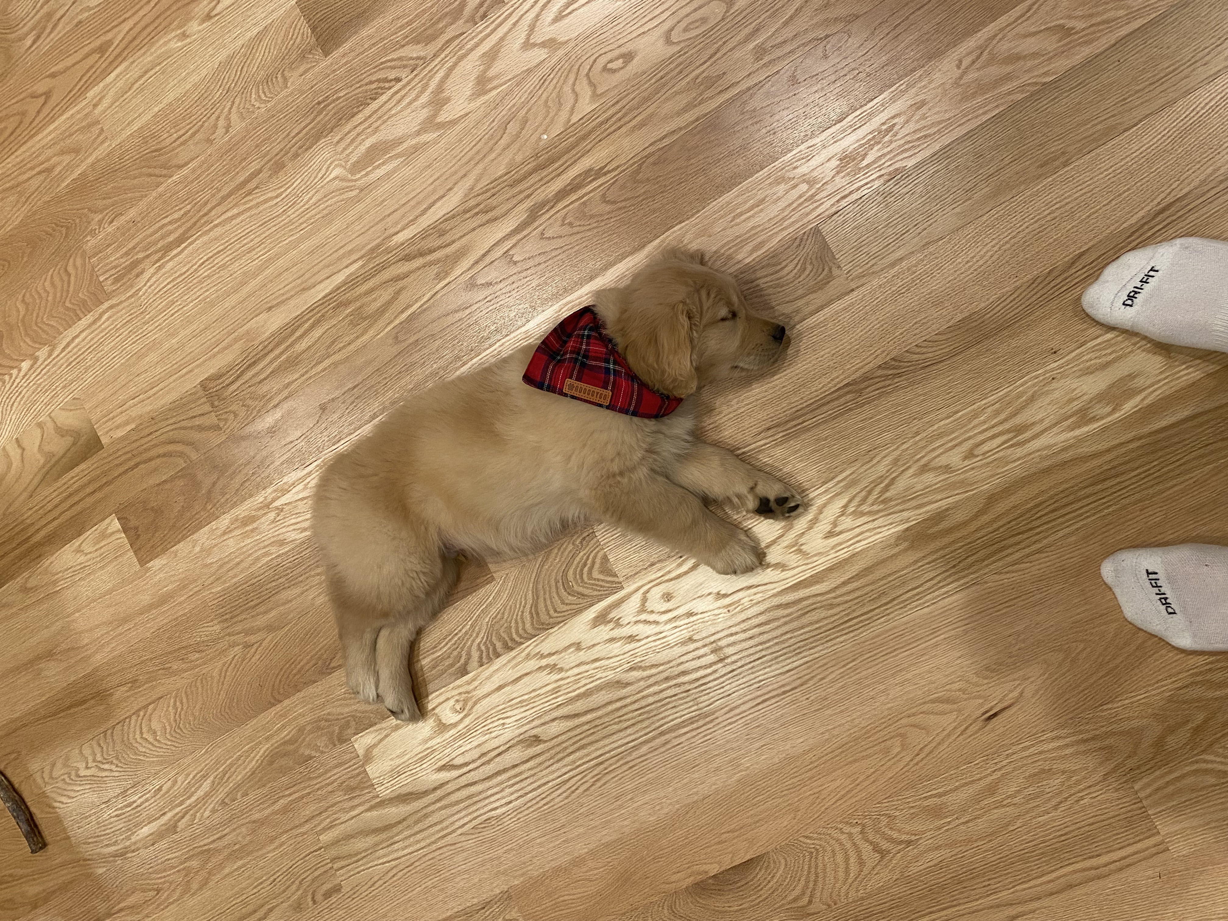 Charlie2