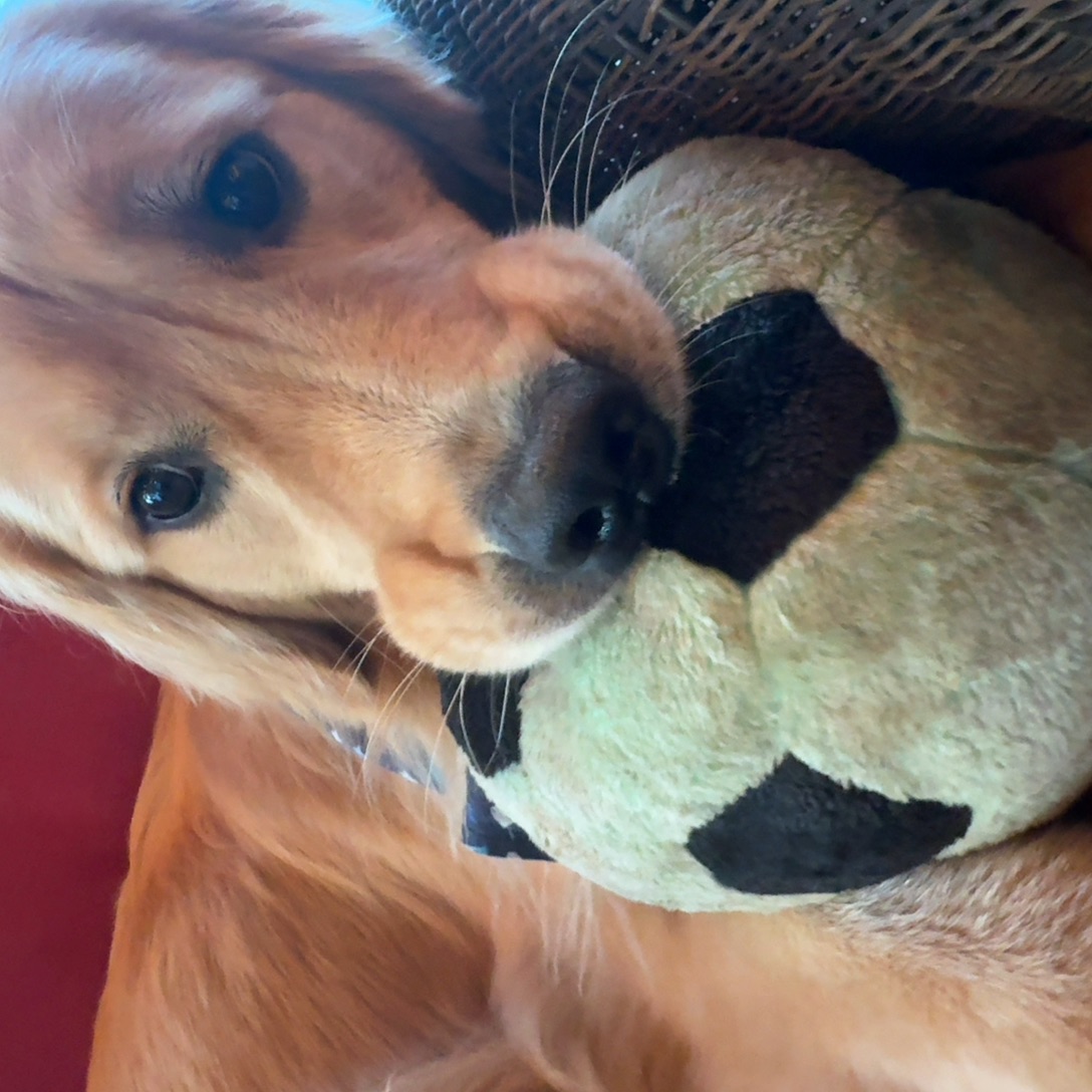 Charlie3