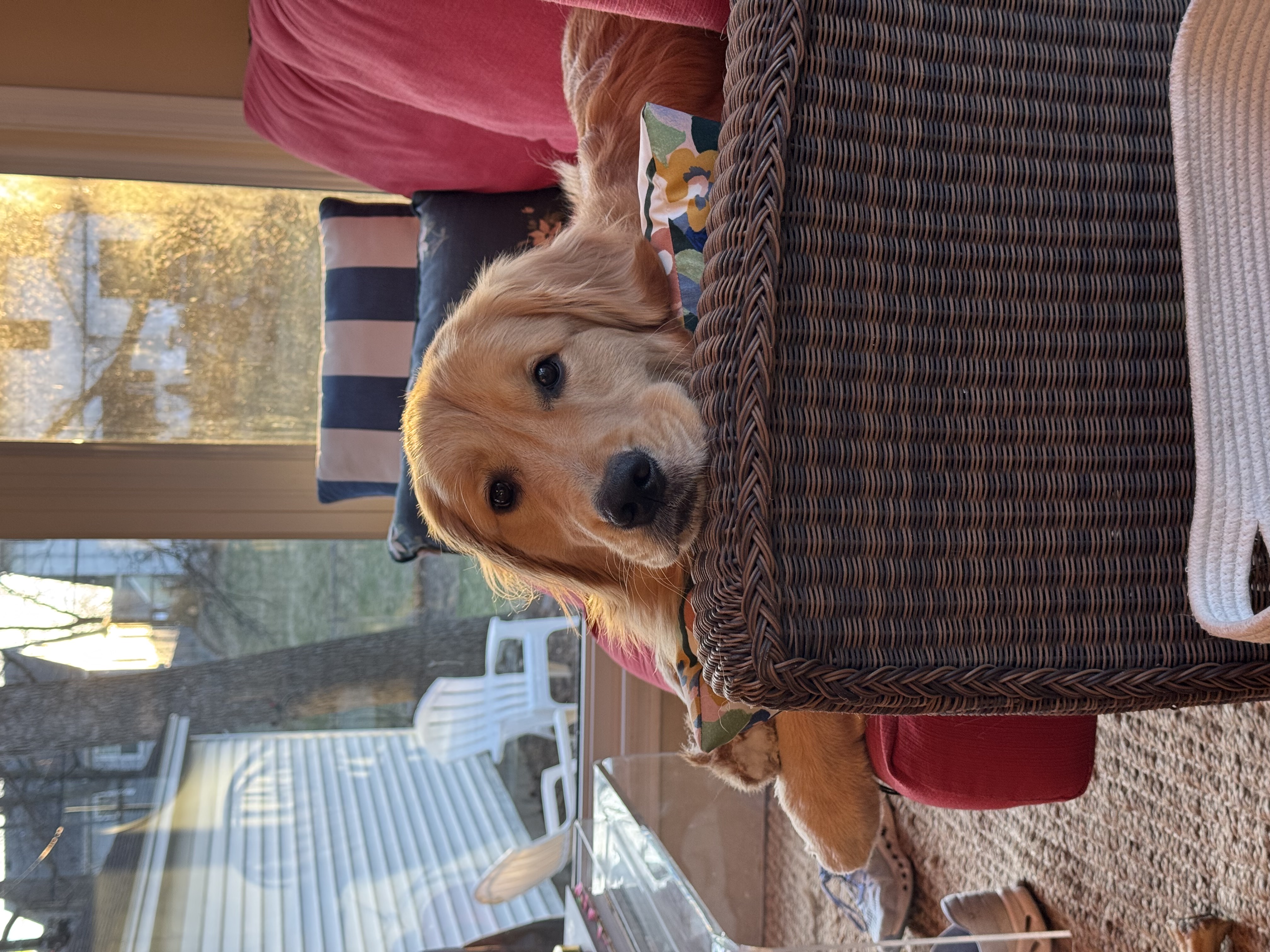 Charlie4