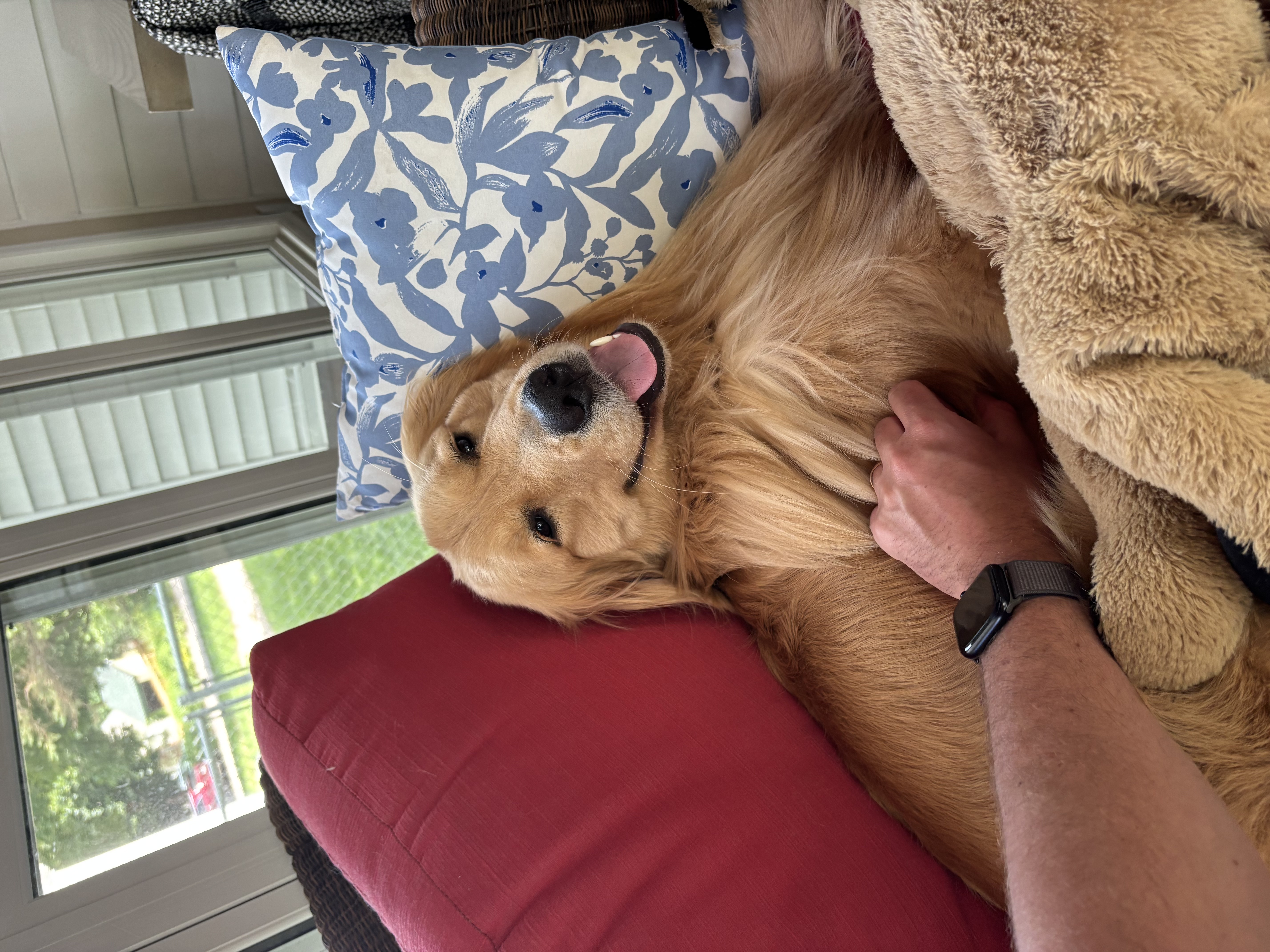Charlie5